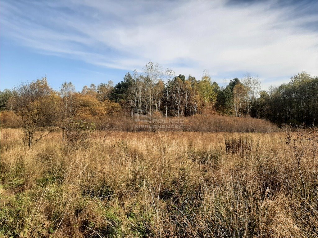 Działka rolna na sprzedaż Ostrów  6 806m2 Foto 2