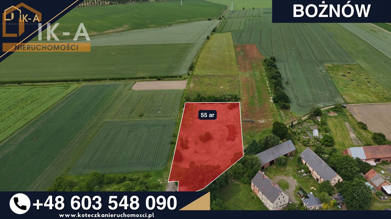 Działka 0,55 ha z WZ pod dom w Bożnowie. Bożnów, Bożnów  5 500m2 Foto 1