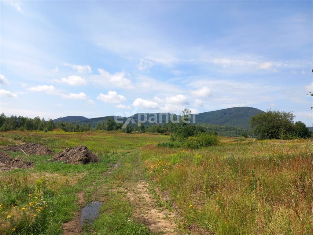 Działka budowlana na sprzedaż Wałbrzych, Biały Kamień, Piotra Wysockiego  140 309m2 Foto 6