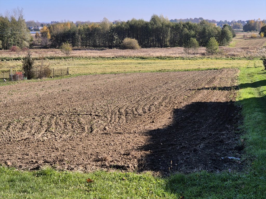 Działka budowlana na sprzedaż Długie  2 532m2 Foto 12