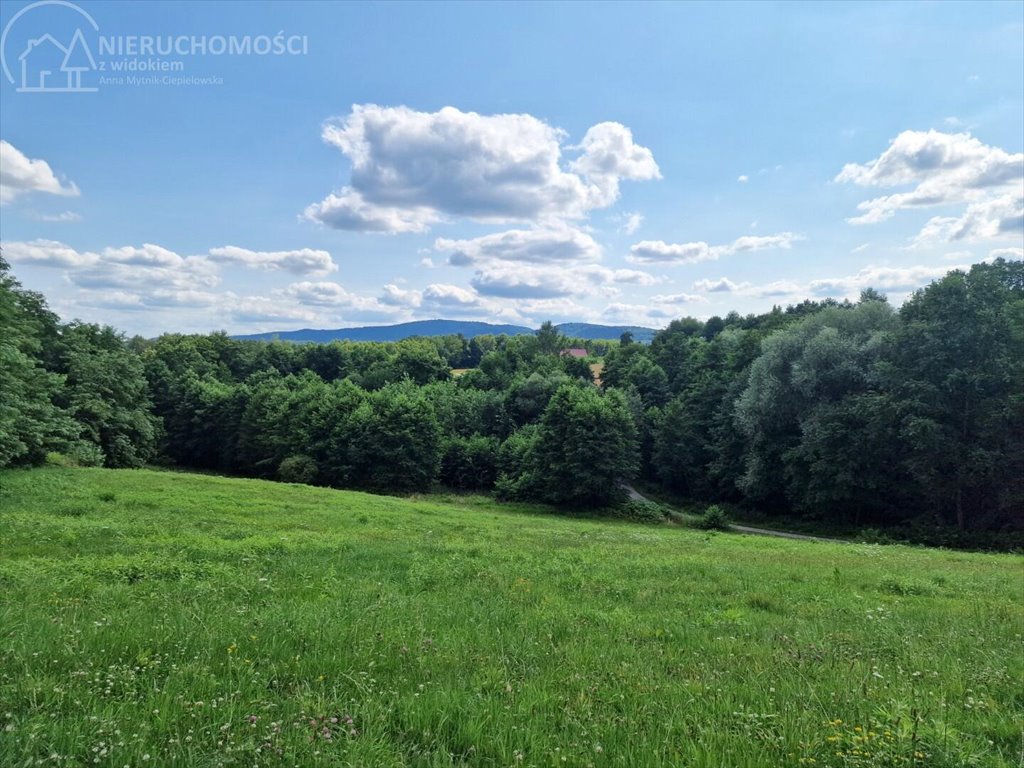 Działka budowlana na sprzedaż Błażkowa  2 559m2 Foto 9