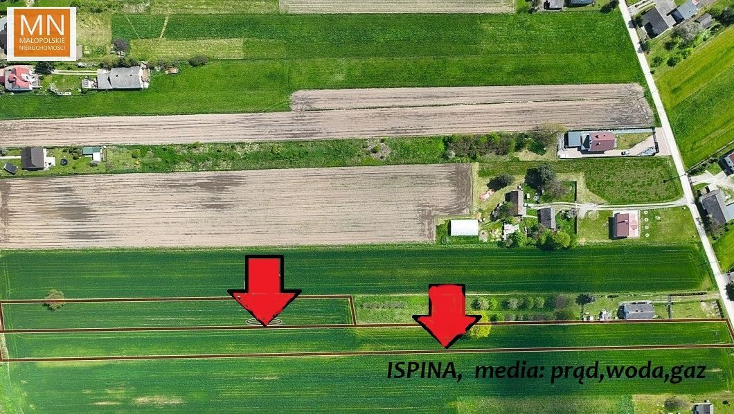 Działka budowlana na sprzedaż Ispina  8 500m2 Foto 13