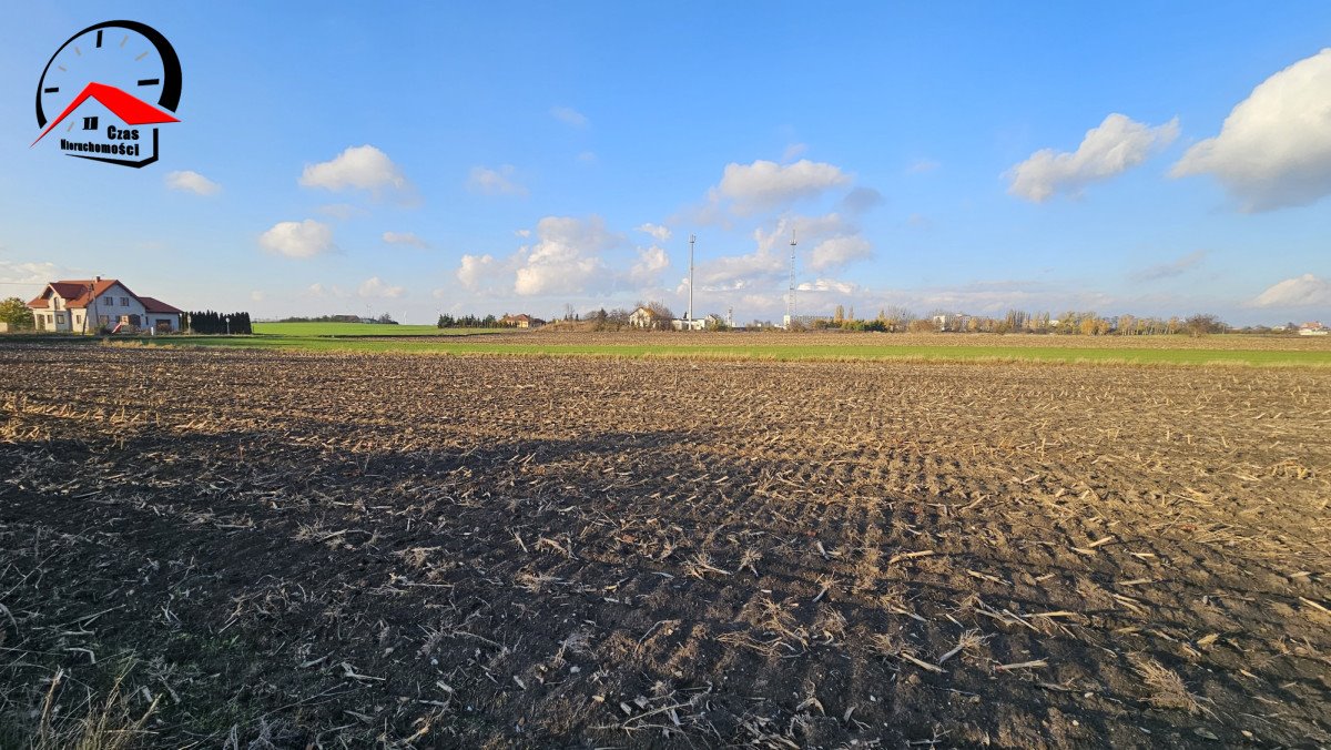 Działka budowlana na sprzedaż Radziejów, Szpitalna  925m2 Foto 4