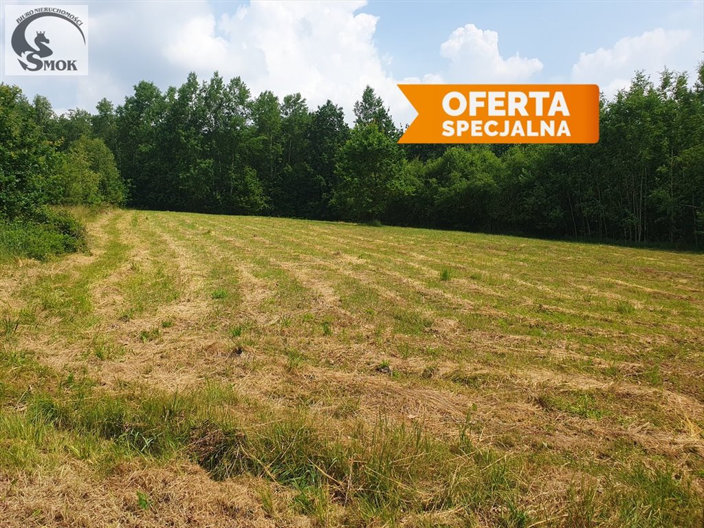 Działka rolna 54 a z możliwością zalesień, prąd, las Włosań  5 400m2 Foto 1
