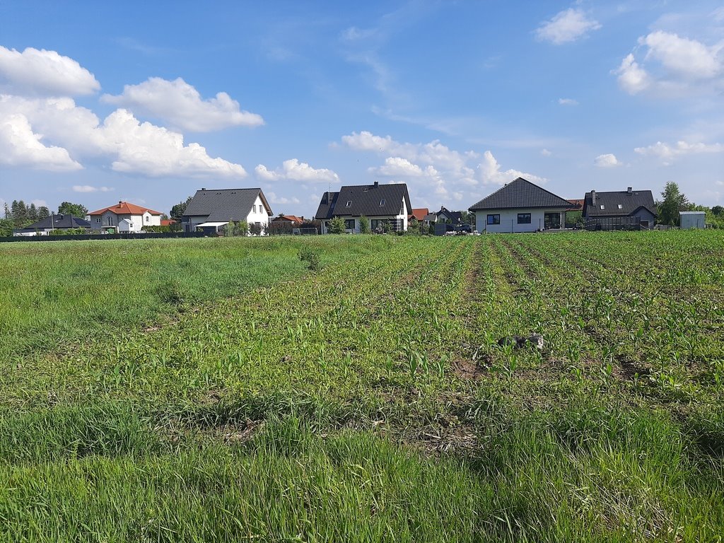 Działka budowlana na sprzedaż Smardzów  1 000m2 Foto 8