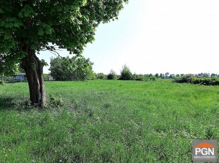 Na sprzedaż działka 3000 m² z warunkami zabudowy w spokojnej okolicy GRYFICE OKOLICA  3 000m2 Foto 1