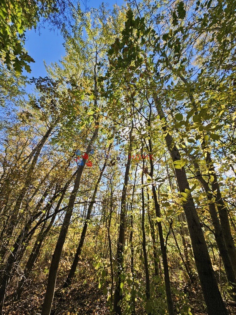 Działka budowlana na sprzedaż Magdalenka  1 800m2 Foto 1