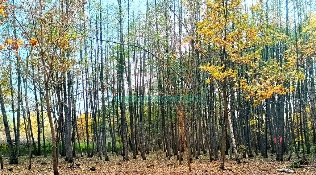 Działka budowlana na sprzedaż Radonie  1 500m2 Foto 6