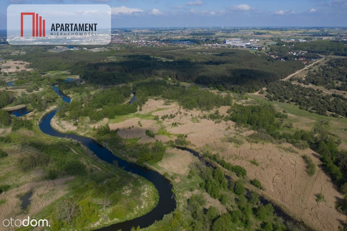 Działka gospodarstwo rolne na sprzedaż Kominy, Rondo Warszawskie  9 900m2 Foto 6