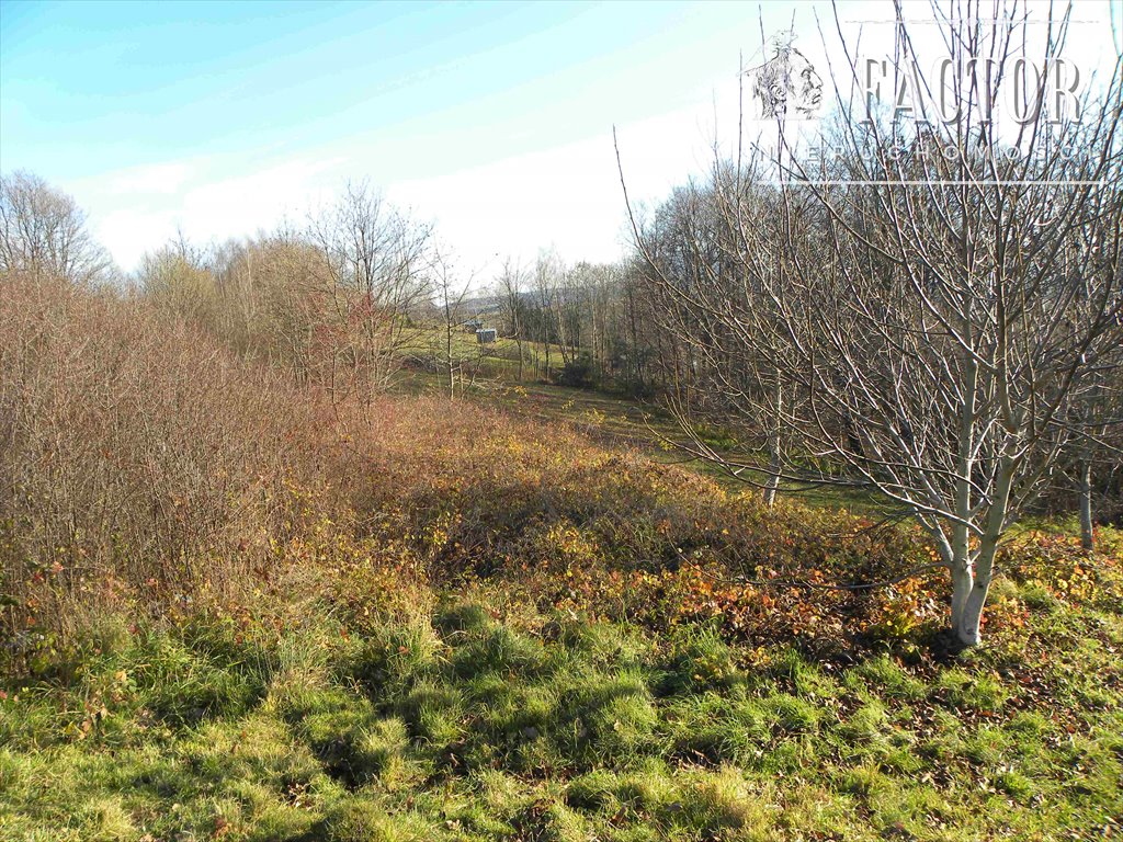 Działka 14 arów z częścią budowlaną i rolną, lekkie nachylenie Siołkowa  1 400m2 Foto 1