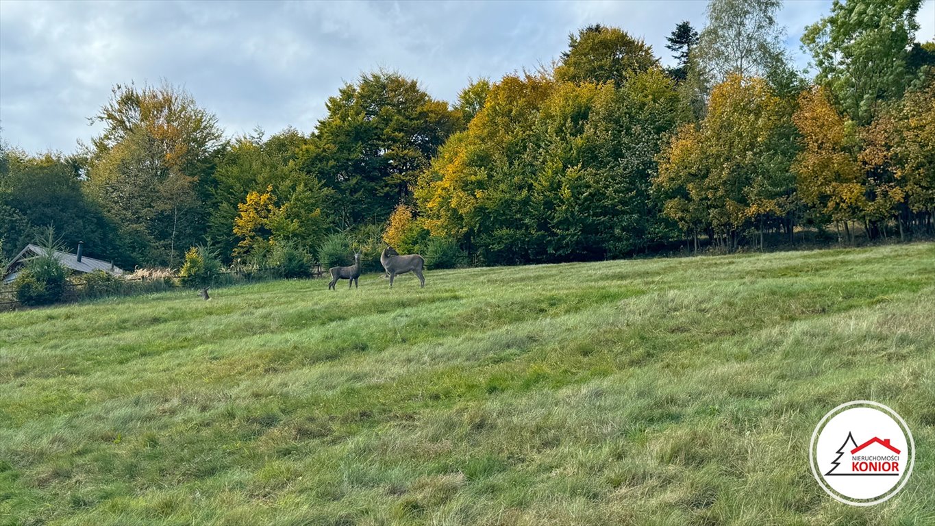 Działka budowlana na sprzedaż Szczyrk, Biła  2 914m2 Foto 3