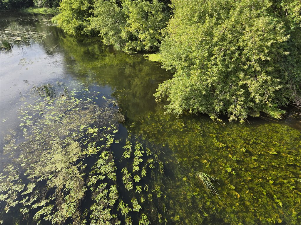 Działka leśna 700 m² nad Wkrą w Bolecinie zapraszam Bolecin, sochocin  700m2 Foto 1