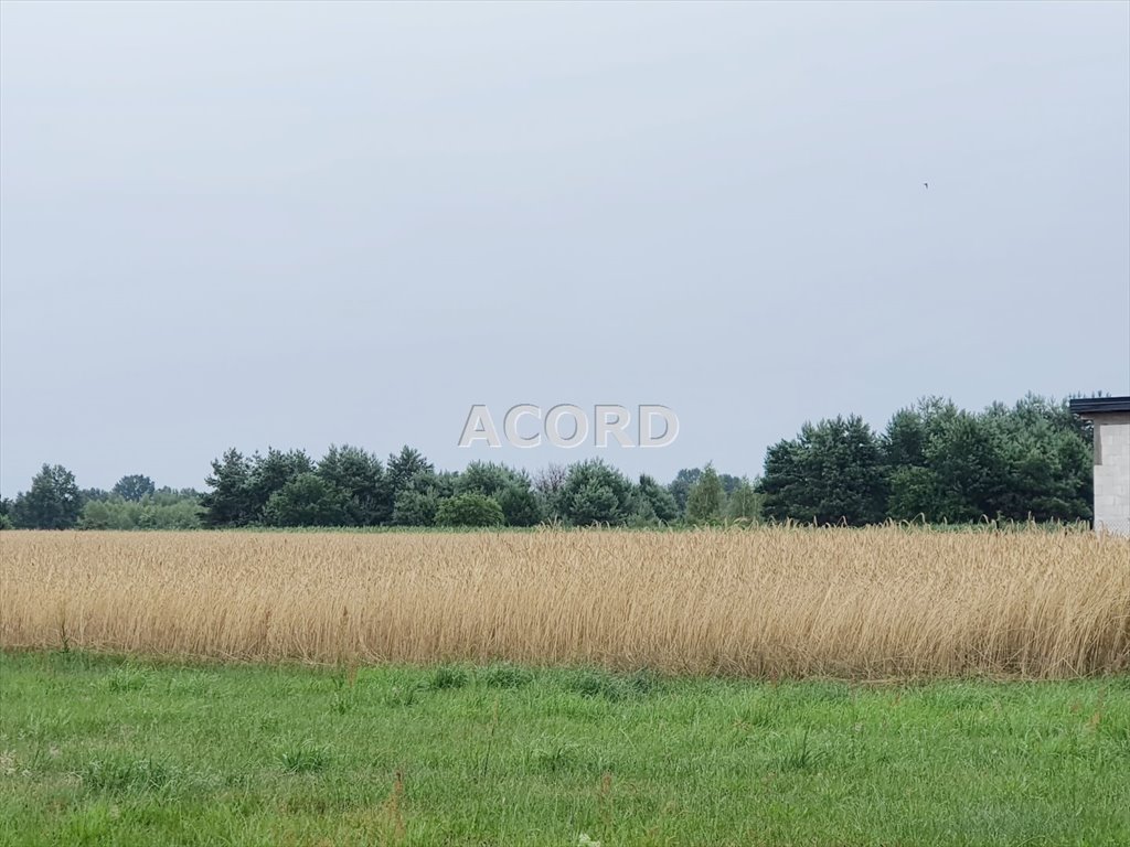 Działka budowlana na sprzedaż Michałów  2 000m2 Foto 4