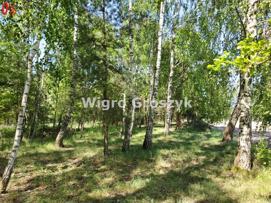 Działka budowlana 1301 m² w Pawłowicach – las, media, dobry dojazd Pawłowice, Pawłowice  1 301m2 Foto 1