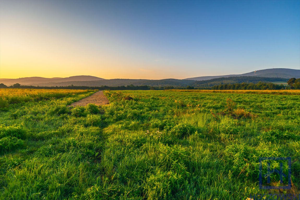 Działka budowlana na sprzedaż Świeradów-Zdrój, Jarzębinowa  1 500m2 Foto 11