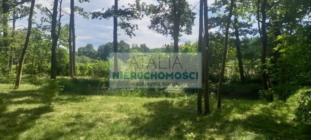 Działka leśna z prawem zabudowy, 2589 m², ogrodzona - polecam! Podkowa Leśna  2 589m2 Foto 1