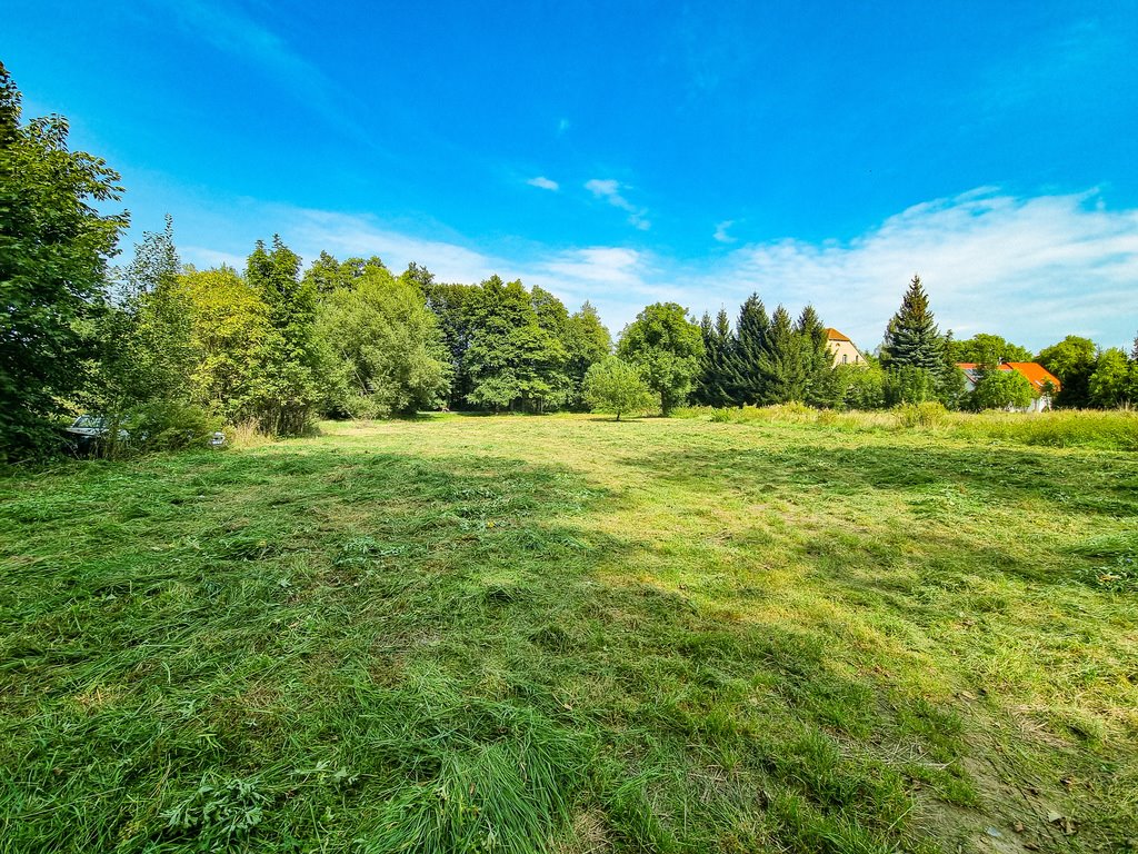 Działka inna na sprzedaż Stary Wielisław  2 800m2 Foto 2