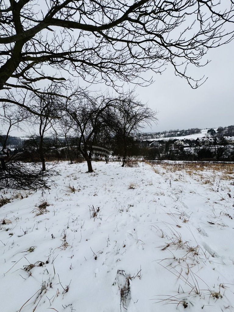 Działka budowlana na sprzedaż Michałowice  3 100m2 Foto 5