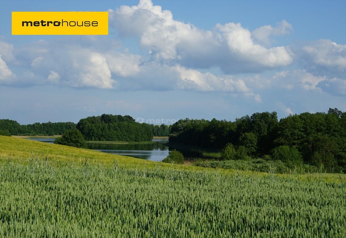 Działka rolna na sprzedaż Wielki Mędromierz  80 000m2 Foto 1