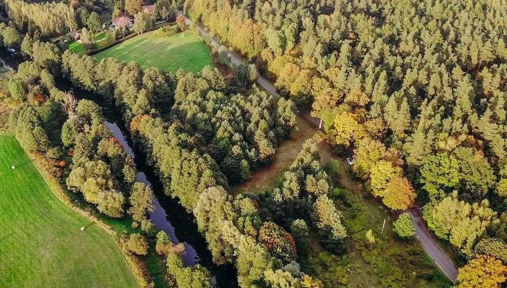 Działka inna na sprzedaż Miłomłyn  4 065m2 Foto 11