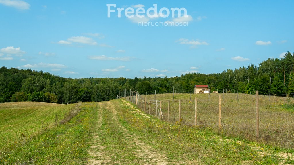 Działka budowlana na sprzedaż Piekło Górne, Lotników  3 468m2 Foto 4