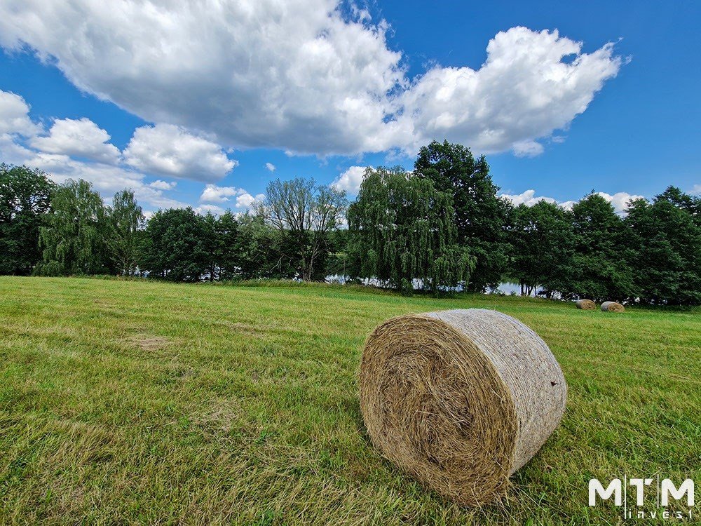 Działka rolna na sprzedaż Dolice  3 003m2 Foto 6