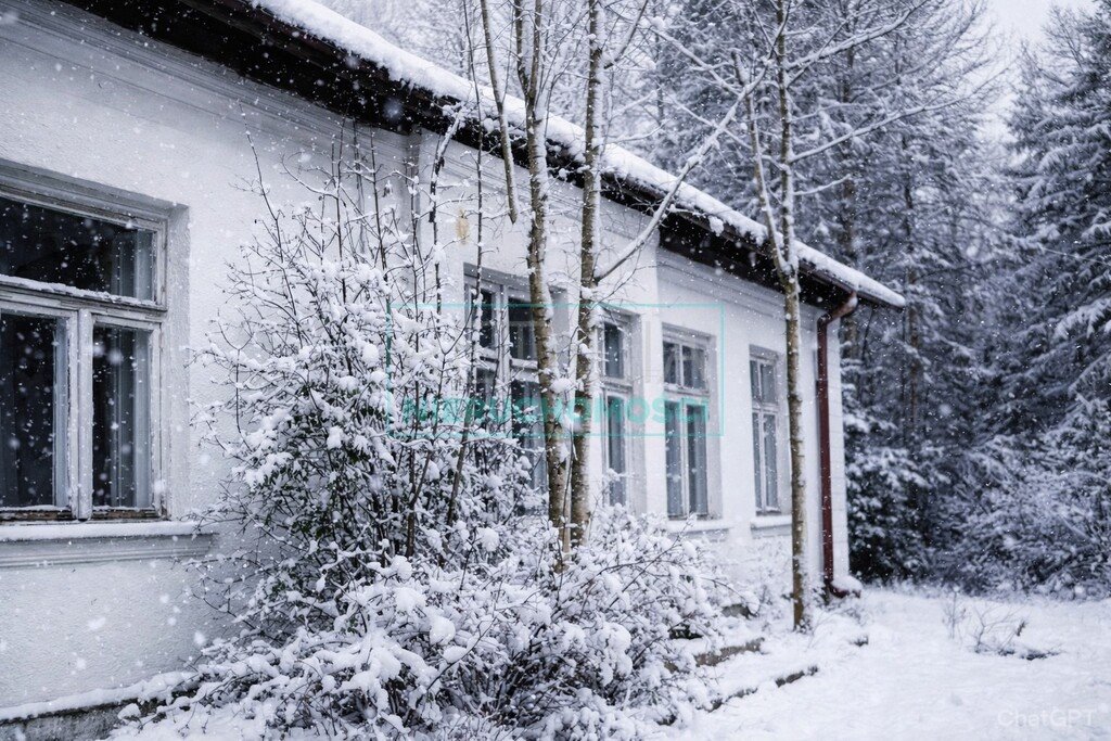 Urokliwa willa do rewitalizacji na dużej działce w Brwinowie Brwinów  200m2 Foto 1