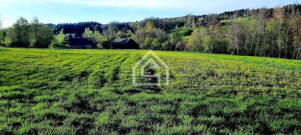 Działka budowlana na sprzedaż Grabie  1 500m2 Foto 9