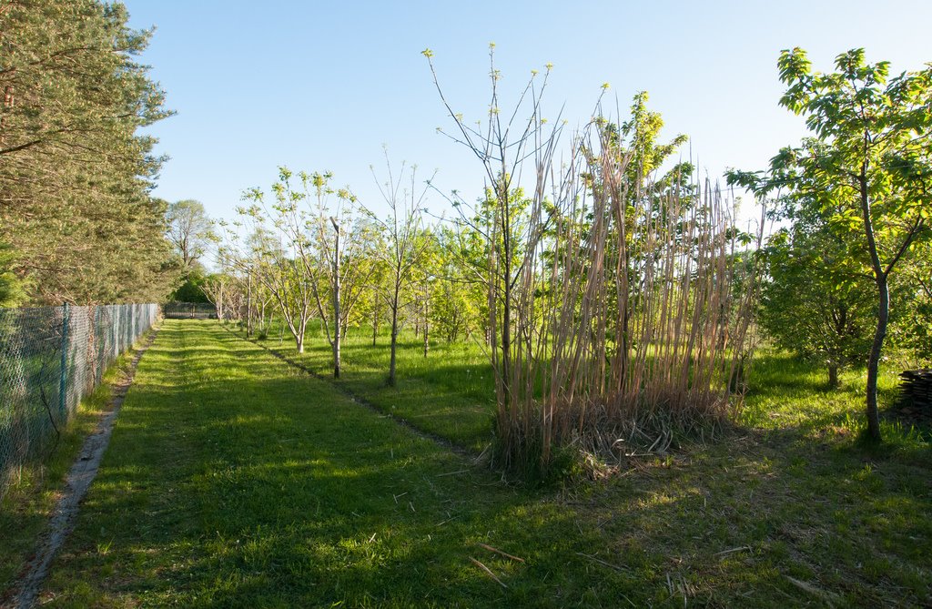 Działka rekreacyjna na sprzedaż Wytyczno  1 500m2 Foto 14