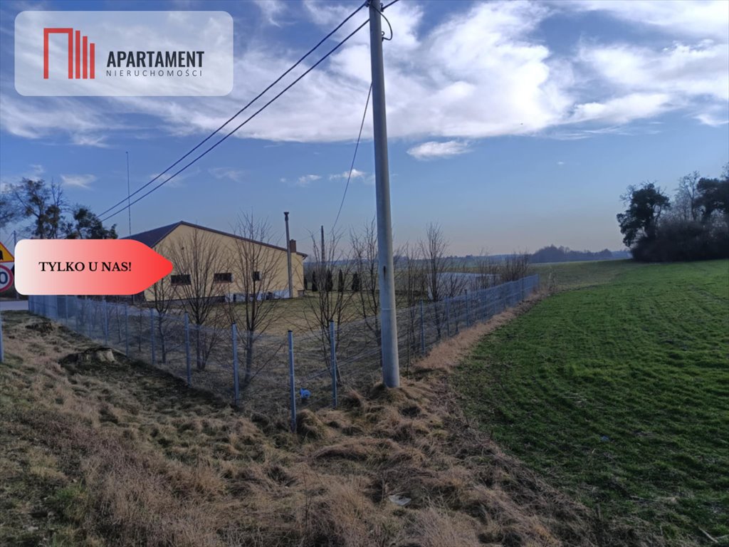 Działka budowlana na sprzedaż Osetno  11 800m2 Foto 3