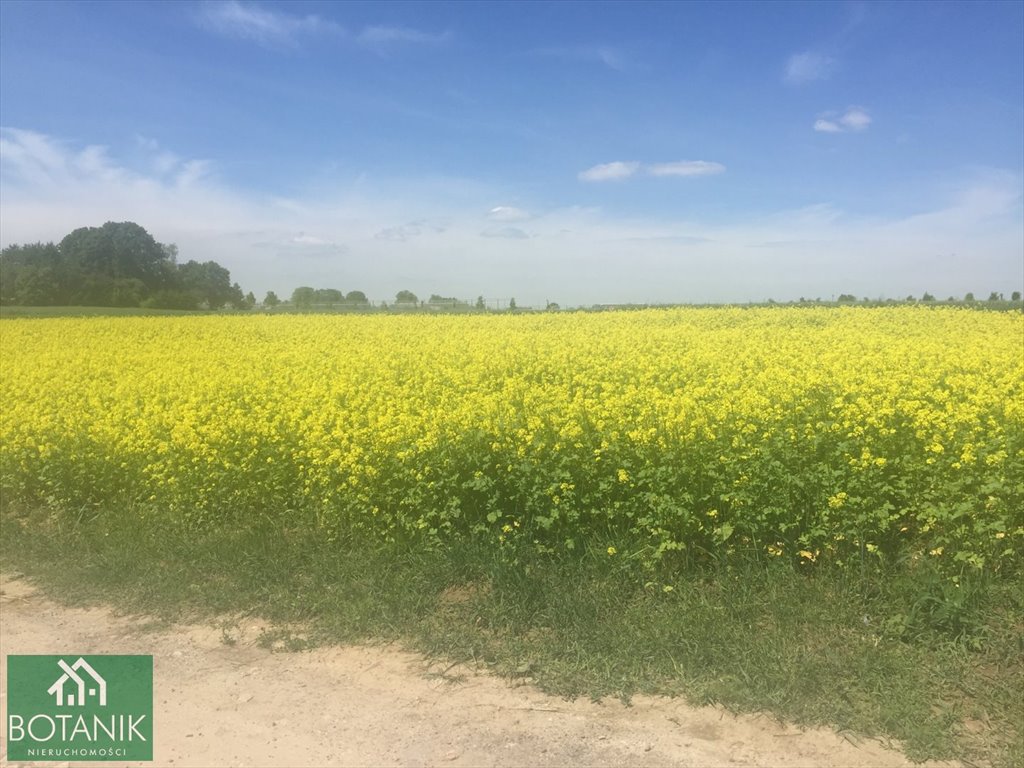 Działka budowlana na sprzedaż Snopków  1 800m2 Foto 2