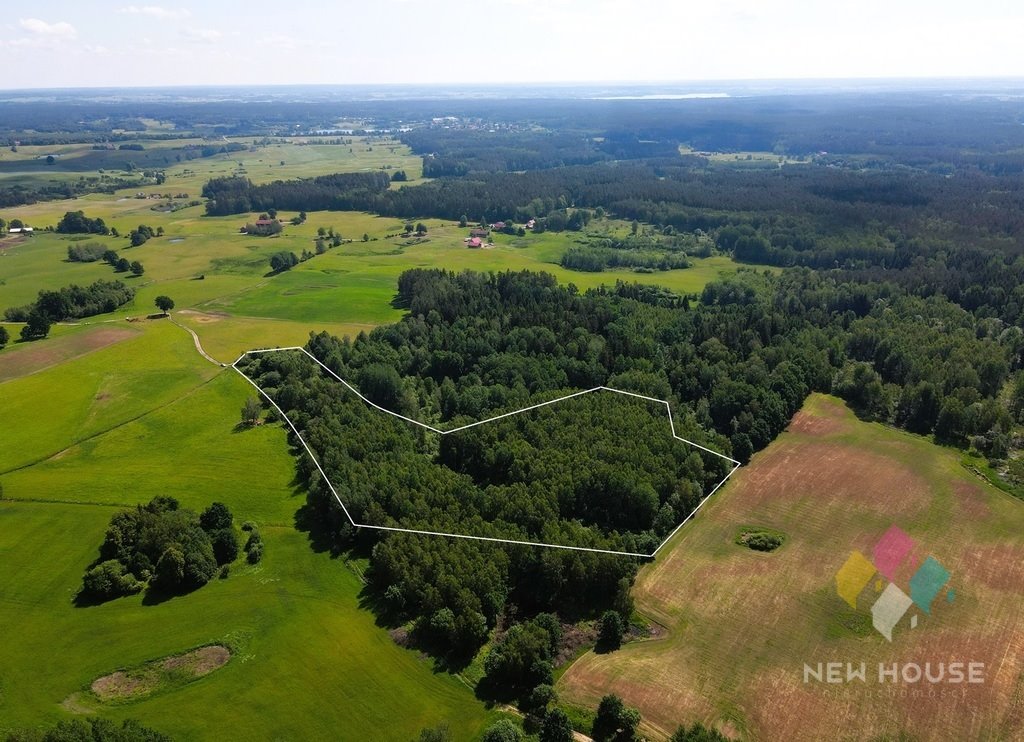 Działka siedliskowa na sprzedaż Próle  38 100m2 Foto 2