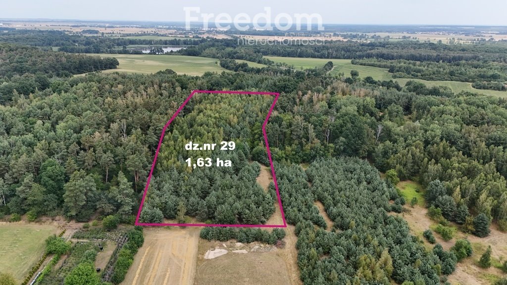 Działka budowlana 16 330 m² w Niemodlinie - zapraszam Niemodlin, Podgórna  16 330m2 Foto 1
