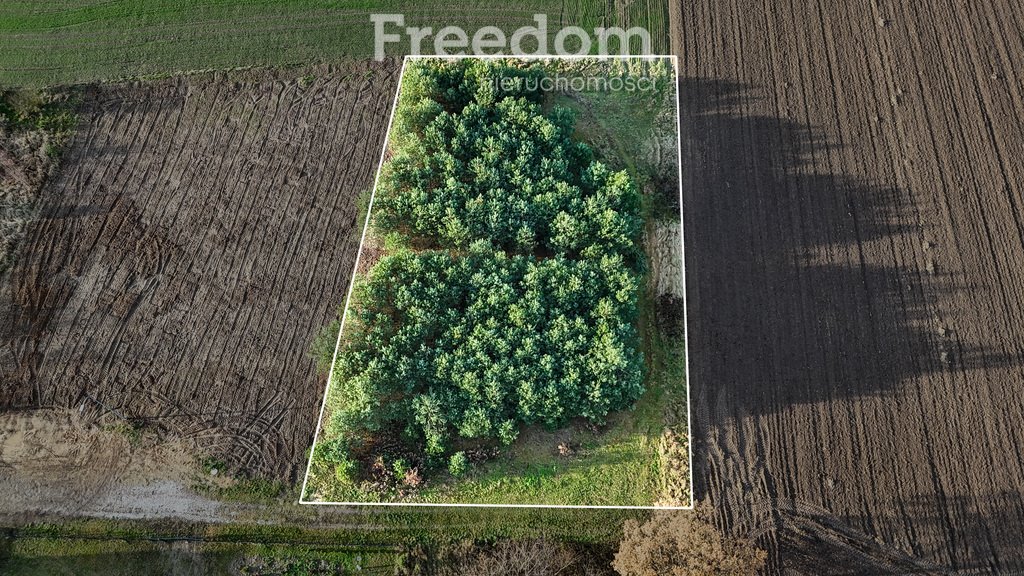 Działka budowlana na sprzedaż Rosnówko, Stawnego  1 805m2 Foto 3