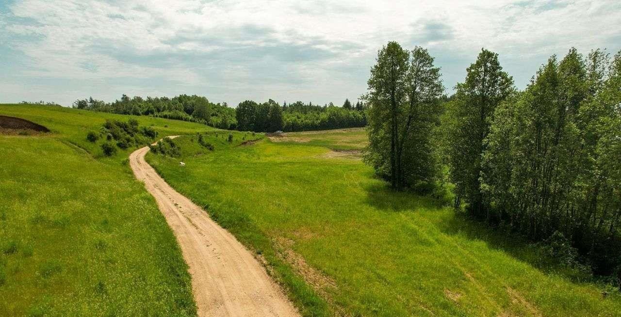 Działka rolna na sprzedaż Rogale  3 002m2 Foto 15