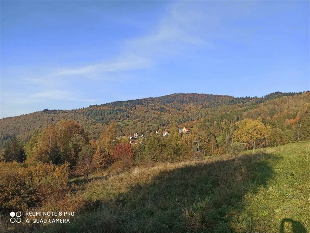 Działka rolna na sprzedaż Rajcza  3 237m2 Foto 10