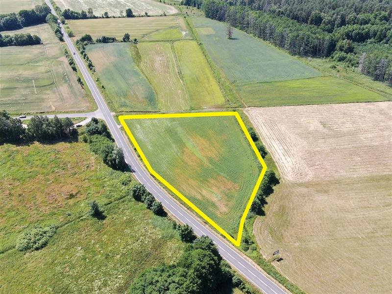 Działka rolna 8 000 m² przy drodze asfaltowej - polecam! Krupy, Krupy  8 000m2 Foto 1