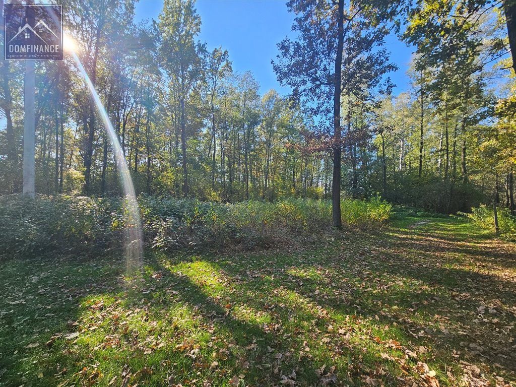 Działka inna na sprzedaż Dąbrowa Tarnowska  29 500m2 Foto 6