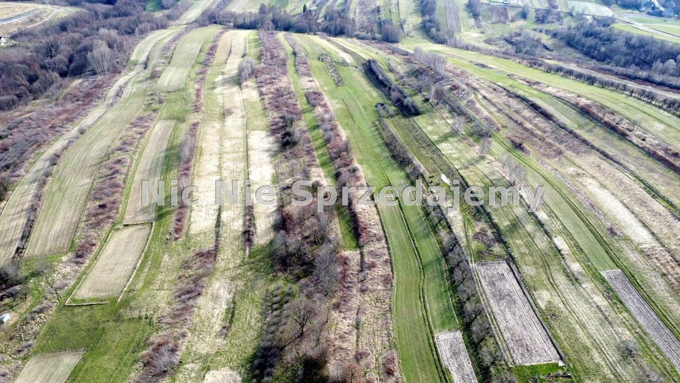 Działka rolna na sprzedaż Dębno, Łysa Góra  7 000m2 Foto 2