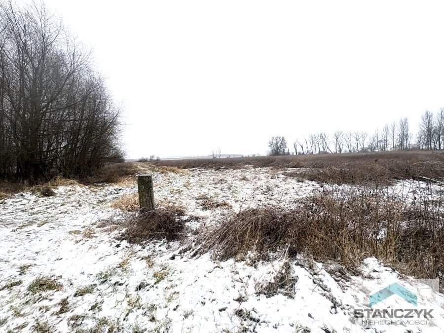 Do sprzedania działka rolna 7700 m² blisko Wolina i Zalewu Kamieńskiego Wolin  7 700m2 Foto 1