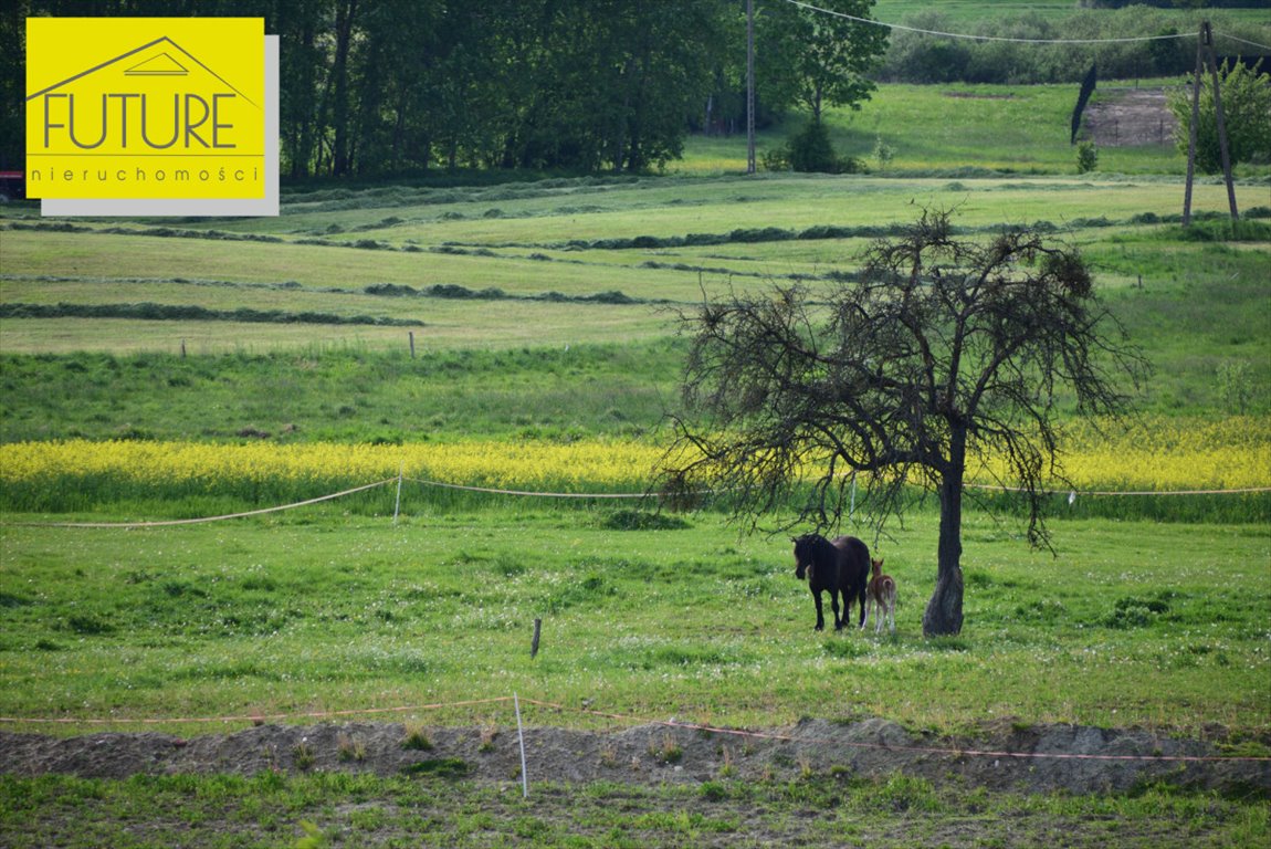 Działka rekreacyjna na sprzedaż Liksajny  4 254m2 Foto 3