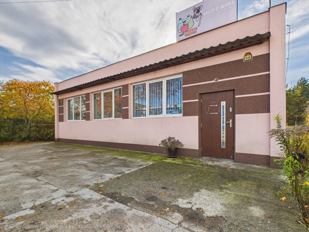 Lokal handlowo-usługowy 100 m² z parkingiem i dużym potencjałem Mizerka  100m2 Foto 1