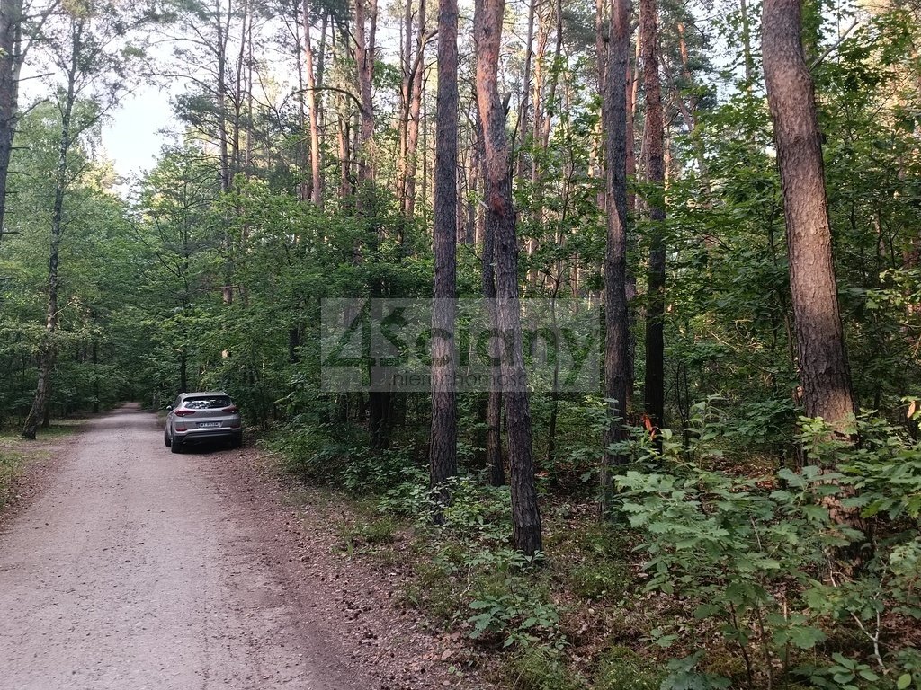 Działka budowlana na sprzedaż Władysławów  1 100m2 Foto 1