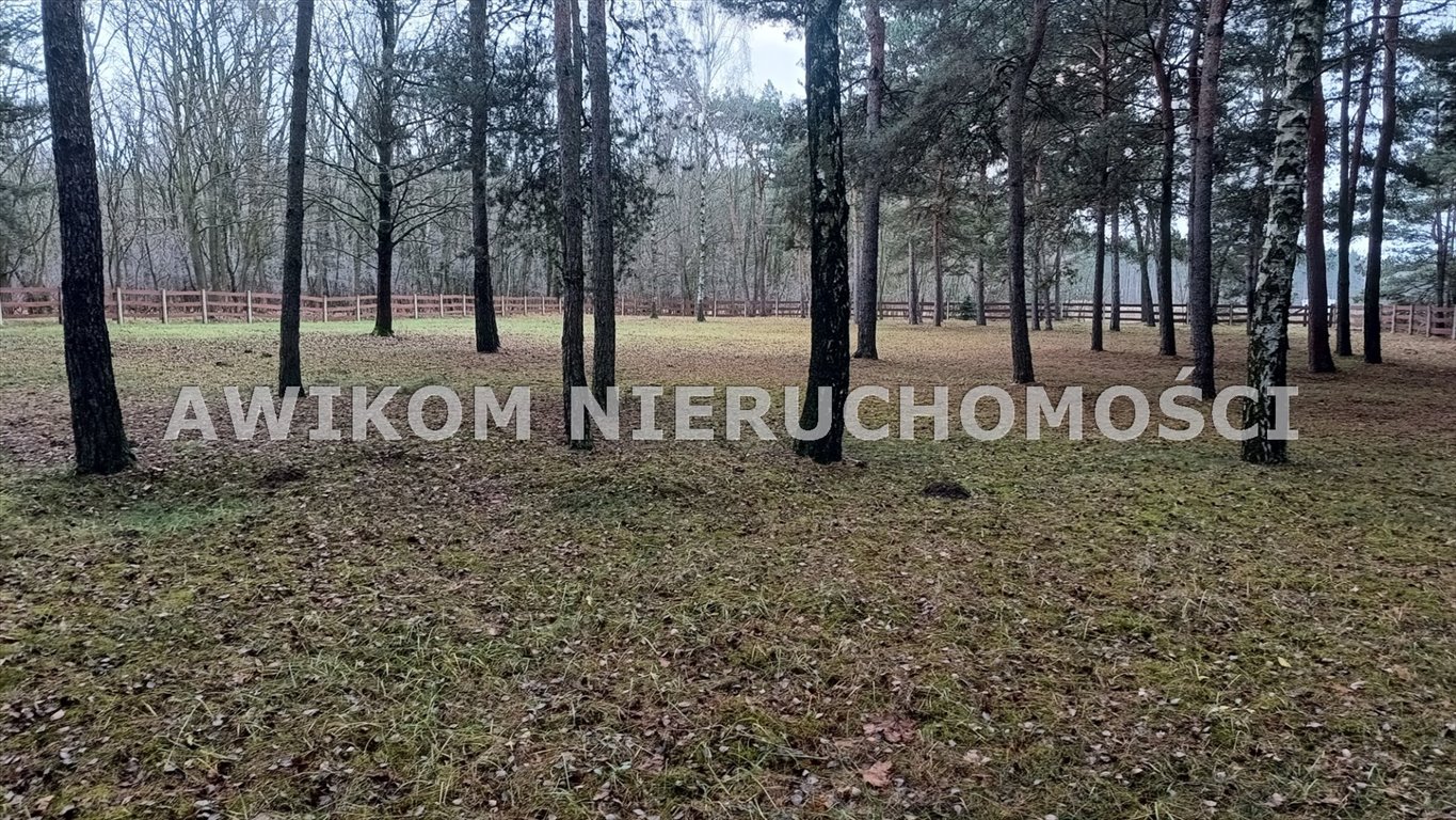 Działka 4000 m² w Puszczy Mariańskiej - las, media, plan zabudowy Puszcza Mariańska  3 975m2 Foto 1