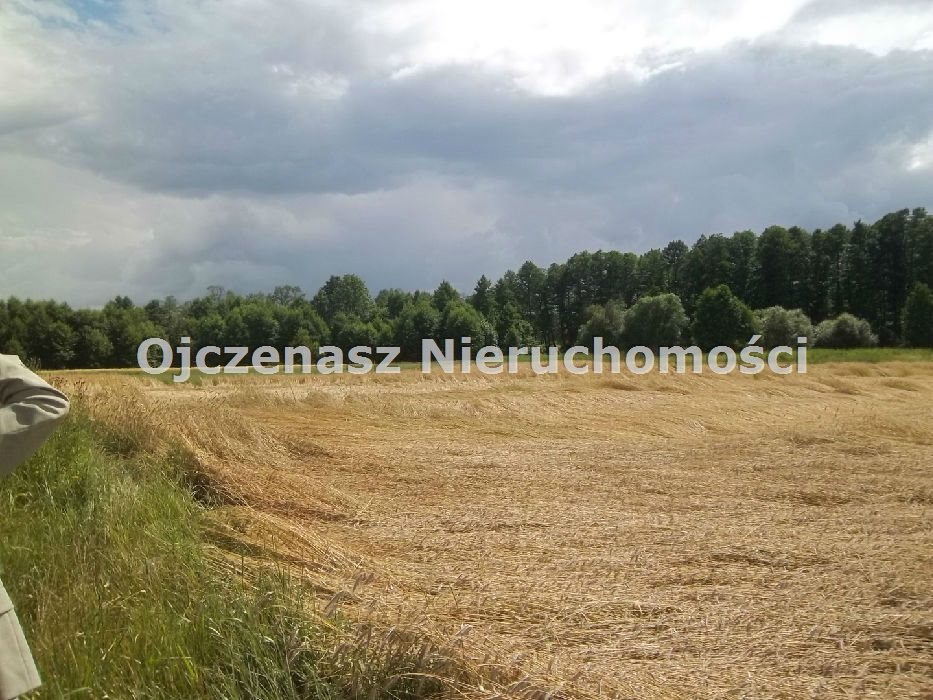 Działka inna na sprzedaż Mrocza, Wiele  4 029m2 Foto 2