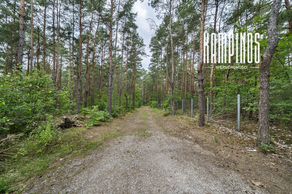 Na sprzedaż działka leśna z możliwością zabudowy do 20% w Hornówku Hornówek  1 500m2 Foto 1