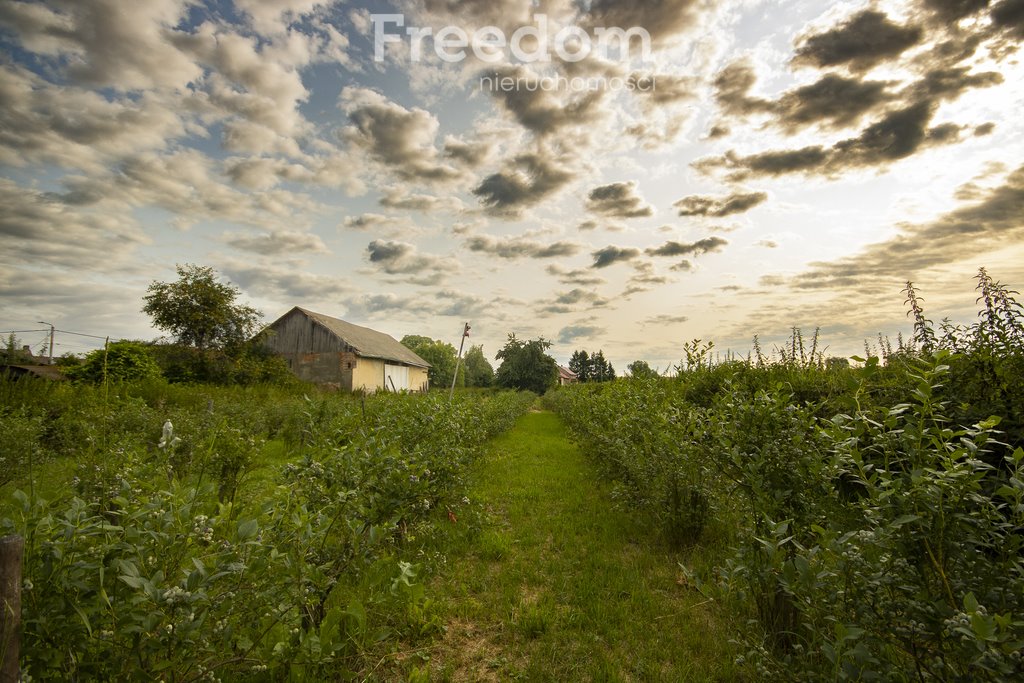 Działka siedliskowa na sprzedaż Sucha Kamienica  13 559m2 Foto 5