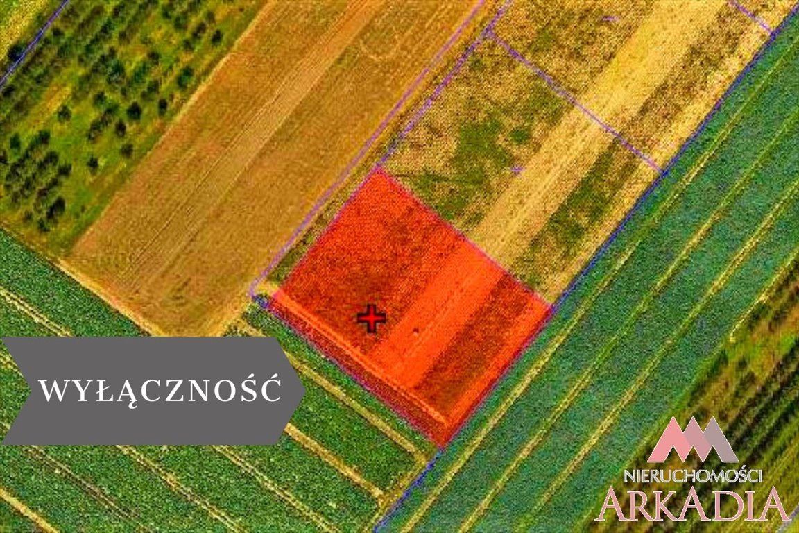 Działka rolna na sprzedaż Szpetal Górny  3 000m2 Foto 1