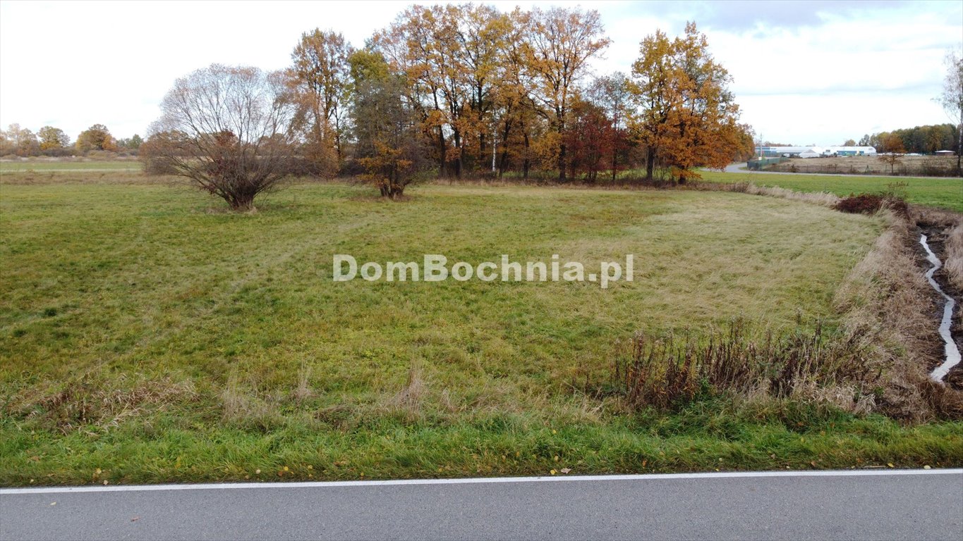 Działka budowlana na sprzedaż Borek  3 800m2 Foto 1