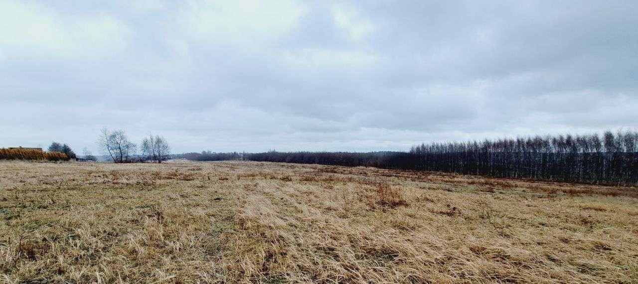 Działka siedliskowa na sprzedaż Wola Kalinowska, ul. Kaliski  3 600m2 Foto 4